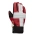 SNOWLIFE CLASSIC LEATHER JUBILEE 50 DT GLOVE Suisse guanto sci unisex